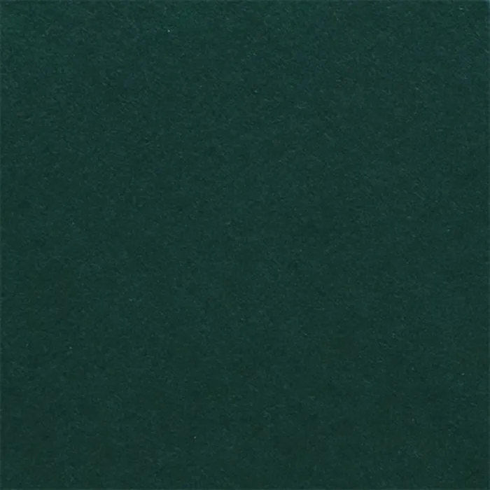 Fabriano Картон Elle Erre, 70 x 100 cm, 220 g/m2, № 128, тъмнозелен