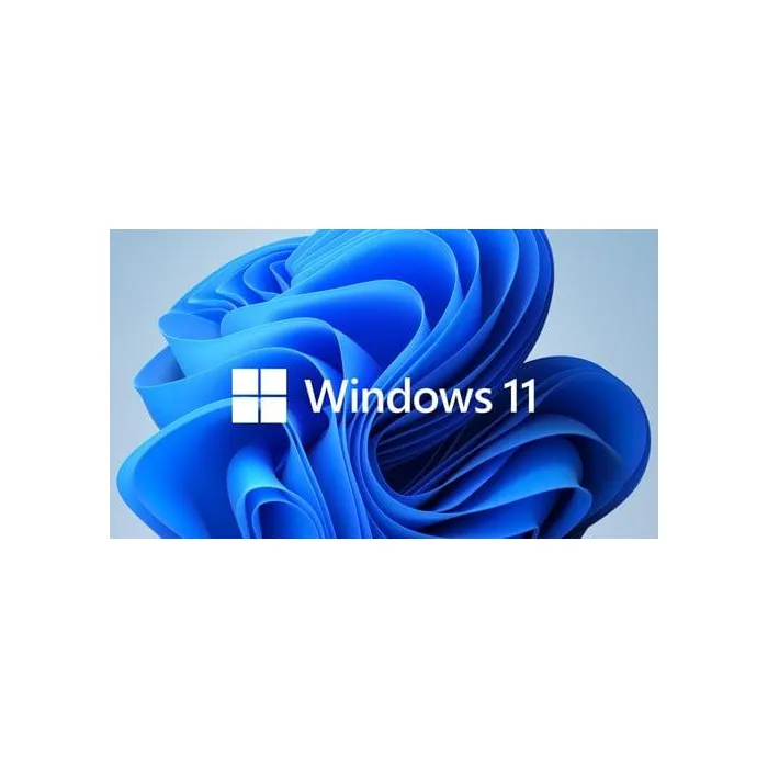 WIN 11 HOME 64BIT ENG DSP DVD