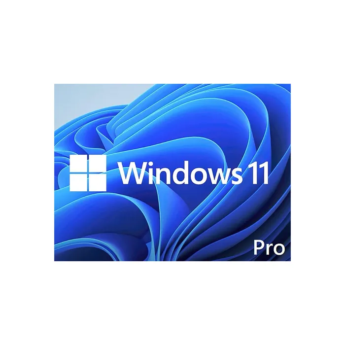 WIN 11 PRO 64BIT ENG DSP DVD