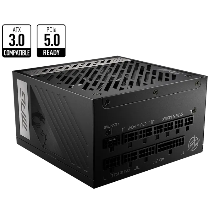 Захранващ блок, MSI MPG A1000G PCIE5